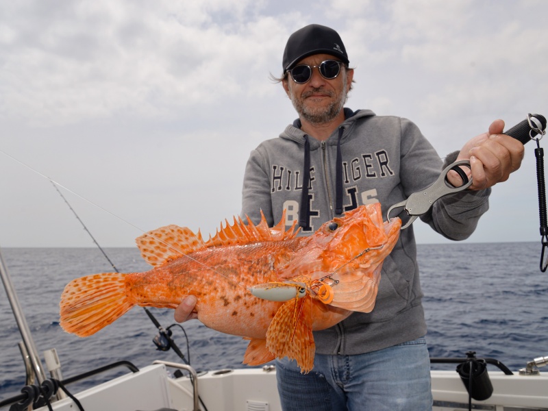 Ce chapon record a été pris par Laurent avec un Squid Game Slider X-Paragon ! Ce chapon record a été pris par Laurent avec un Squid Game Slider X-Paragon !