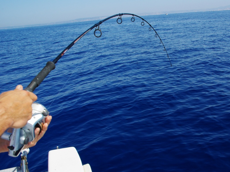 il est rare de decrocher avec le circle hook il est rare de decrocher avec le circle hook
