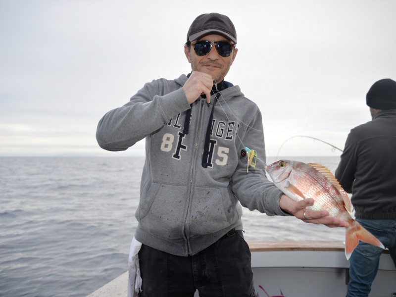 L’Amazing Top Fishing est une canne fantastique pour les pêches au madaï lights ! L’Amazing Top Fishing est une canne fantastique pour les pêches au madaï lights !