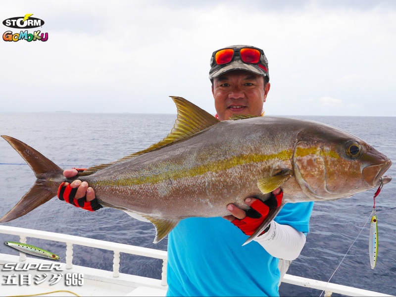 Les sérioles sont très réactif à la pêche au Gomoku super jig !