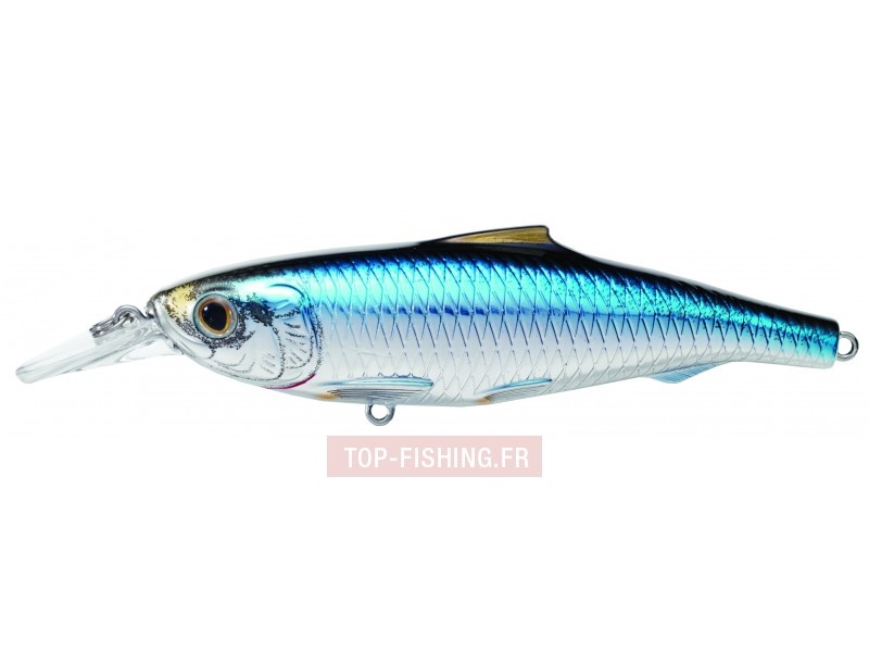 Leurre sardine idéal dans une eau claire en plein jour Leurre sardine idéal dans une eau claire en plein jour