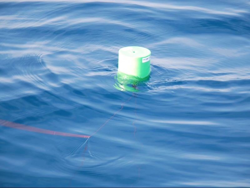 La structure du flotteur Tuna offre une excellente stabilité pendant l'action de pêche. 