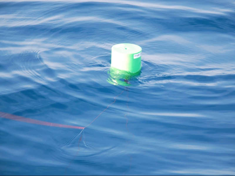 La structure du flotteur Tuna offre une excellente stabilité pendant l'action de pêche. La structure du flotteur Tuna offre une excellente stabilité pendant l'action de pêche.