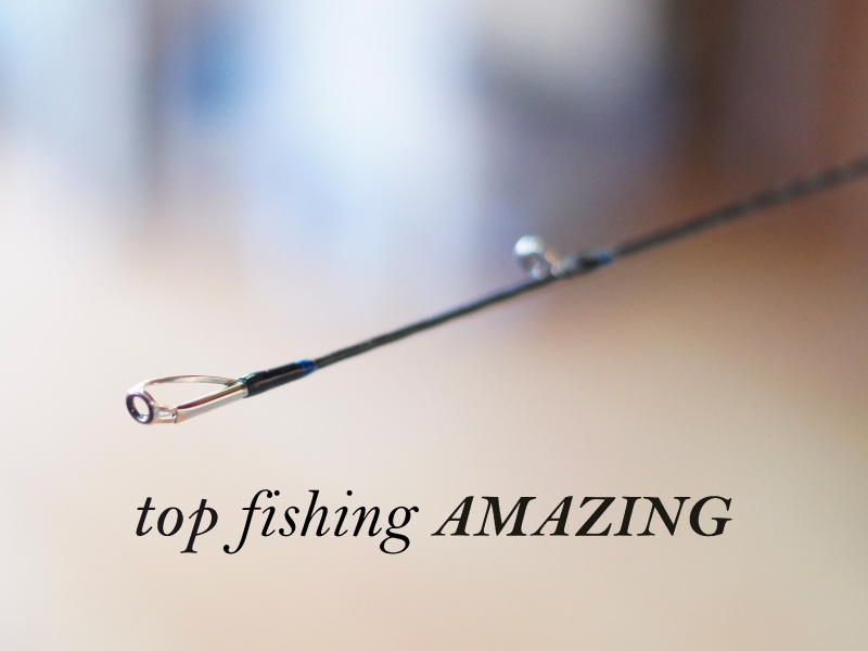 Canne Top Fishing Amazing, les anneaux de têtes Canne Top Fishing Amazing, les anneaux de têtes