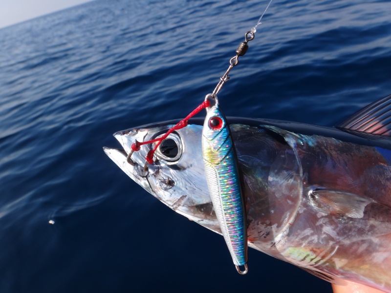 Armement en tête d’un casting jig avec un double assist hook