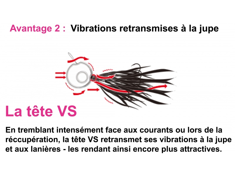 Avantage 2 tête VS Avantage 2 tête VS
