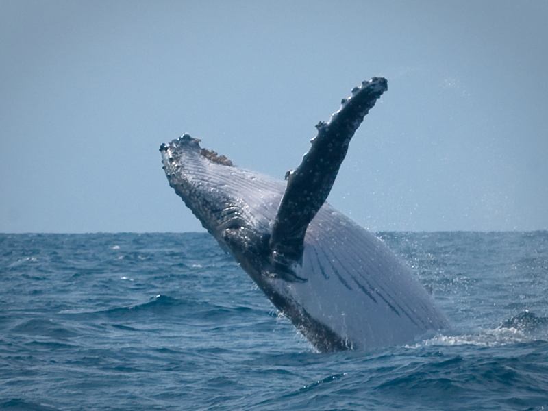 Impressionnant, émouvant, gigantesque