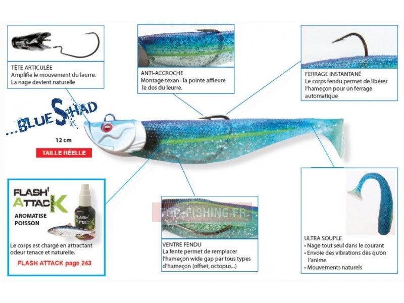 Les caractéristiques du Blue Shad de chez Flashmer Les caractéristiques du Blue Shad de chez Flashmer