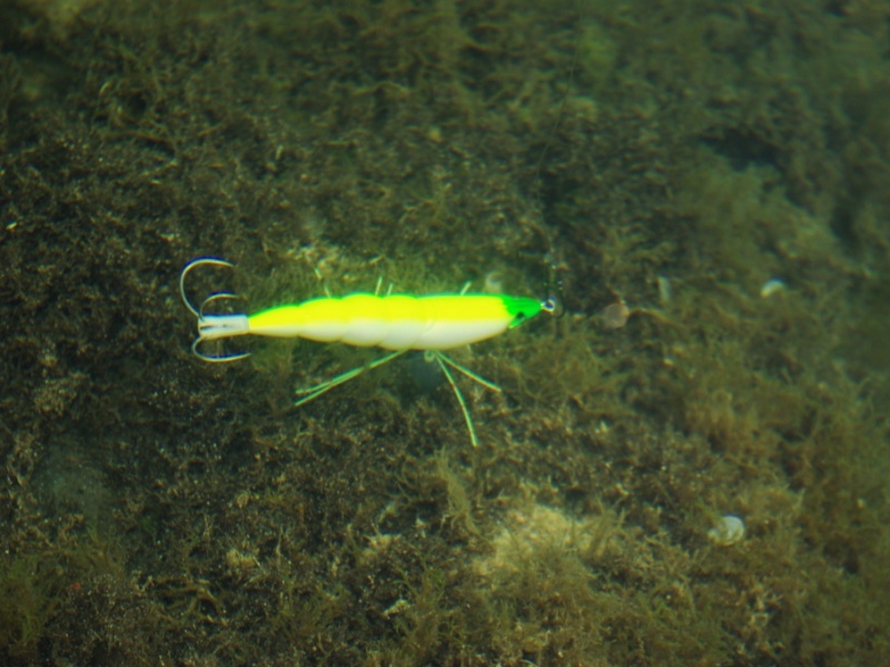 Pêche au calamar, photo d'une turlutte sous l'eau