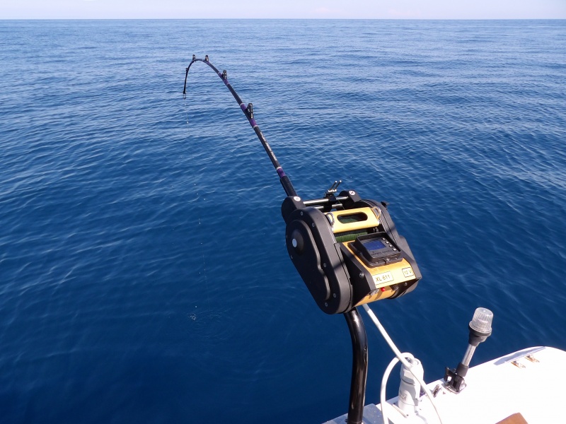 La canne à talon coudé CKF 30 lb est très progressive en combat La canne à talon coudé CKF 30 lb est très progressive en combat