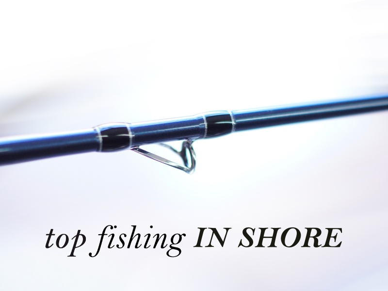 La canne Top Fishing In Shore, des anneaux Fuji et une finition remarquable La canne Top Fishing In Shore, des anneaux Fuji et une finition remarquable