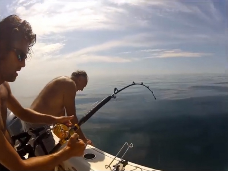 Canne Italcanna Stand Up en pêche.