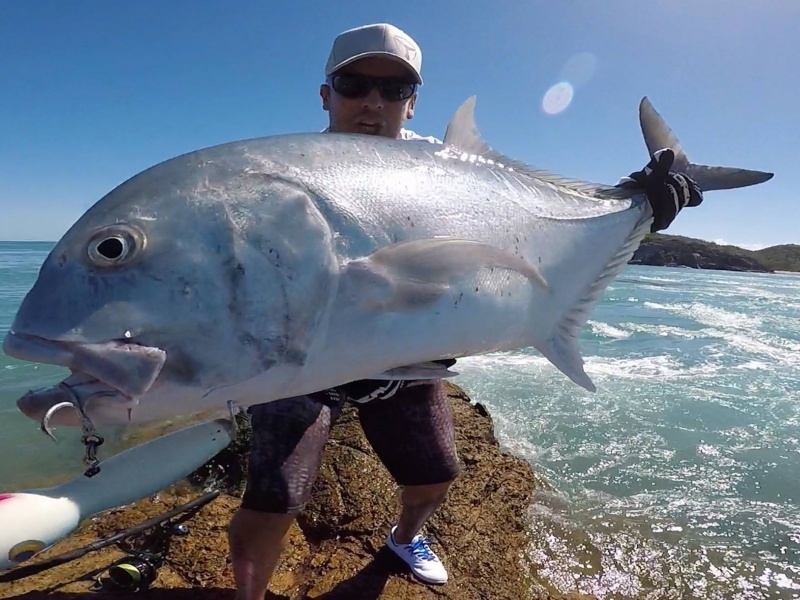Une bien belle GT du bord, au popper ! Une bien belle GT du bord, au popper !