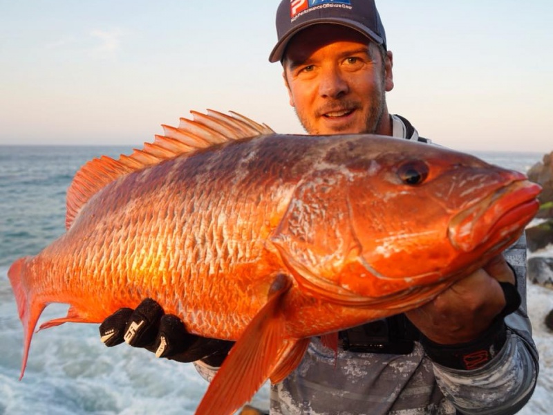 2 juin 2018, Dennis Verreet attrape son premier Colorado Snapper (Vivaneau amarante), avec de WFT Kg Strong 32 kg sur la côte mexicaine.