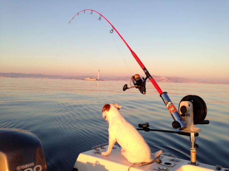 Downrigger une pêche profonde, — très cool —, ici avec un appareil manuel