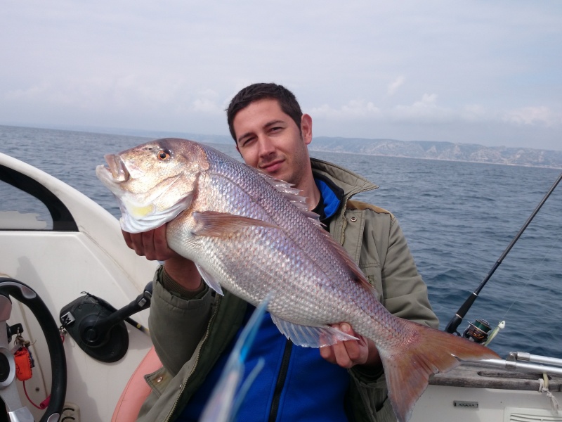 Un autre denti qui n a pu résister à un calamar vivant monté sur un fireball !