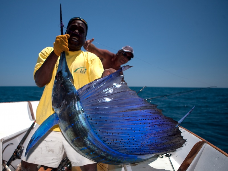 Un poisson trophée !