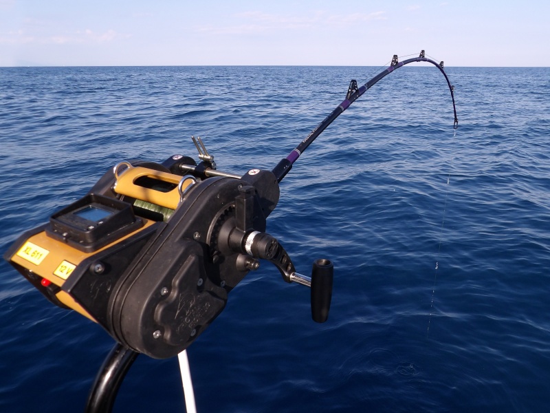 Fabien actionne la récupération maximale du moulinet électrique XL 611 Kristal Fishing pour ferrer le calamar. La canne ploie : pendu ! Fabien actionne la récupération maximale du moulinet électrique XL 611 Kristal Fishing pour ferrer le calamar. La canne ploie : pendu !