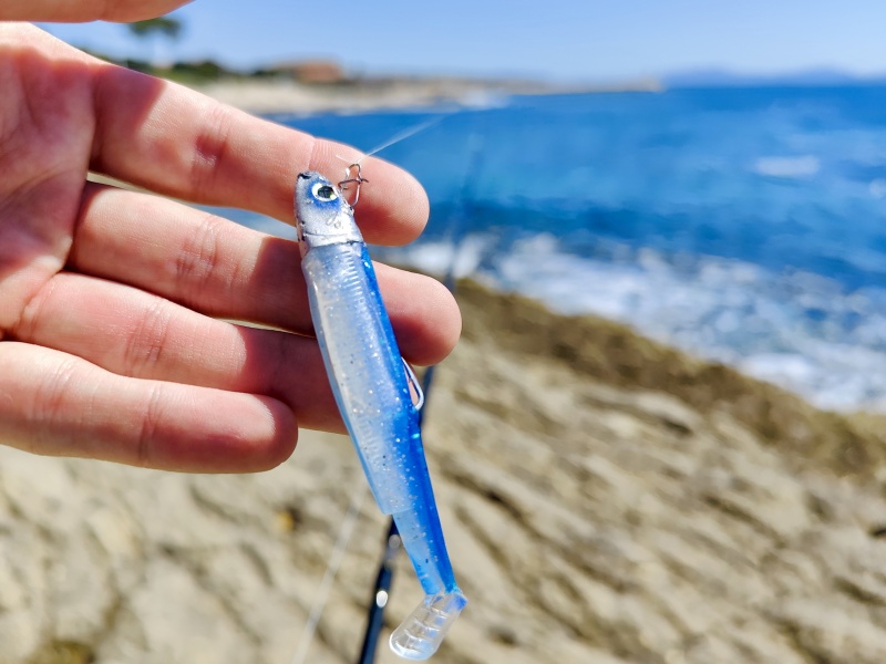 Le Black Minnow est devenu un classique quelques mois après sa sortie Le Black Minnow est devenu un classique quelques mois après sa sortie