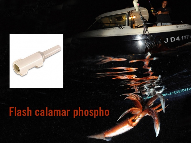 Lampe calamar à flash phospho, en situation de pêche