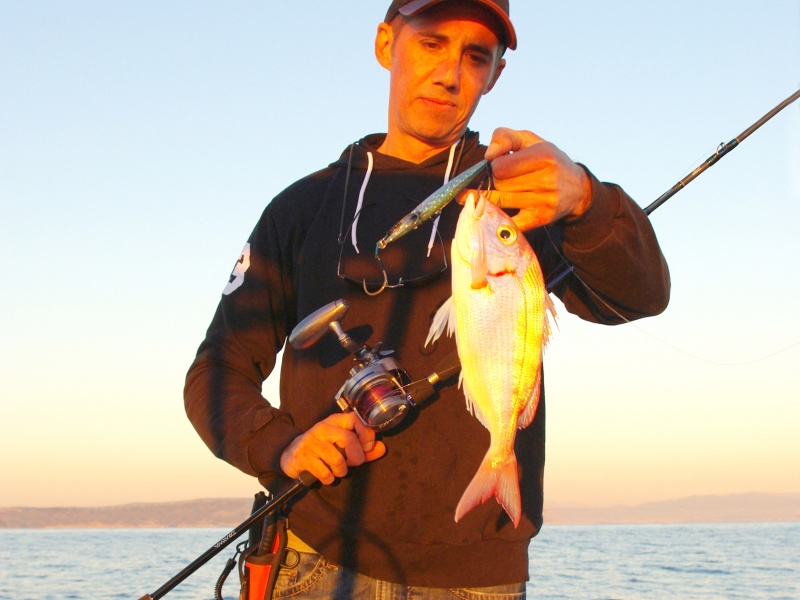 La toute nouvelle Saltiga SJ 68B-6 acceptant des jigs de 220 g et le nouveau moulinet 15HLSJ permettent les pêches les plus profondes La toute nouvelle Saltiga SJ 68B-6 acceptant des jigs de 220 g et le nouveau moulinet 15HLSJ permettent les pêches les plus profondes