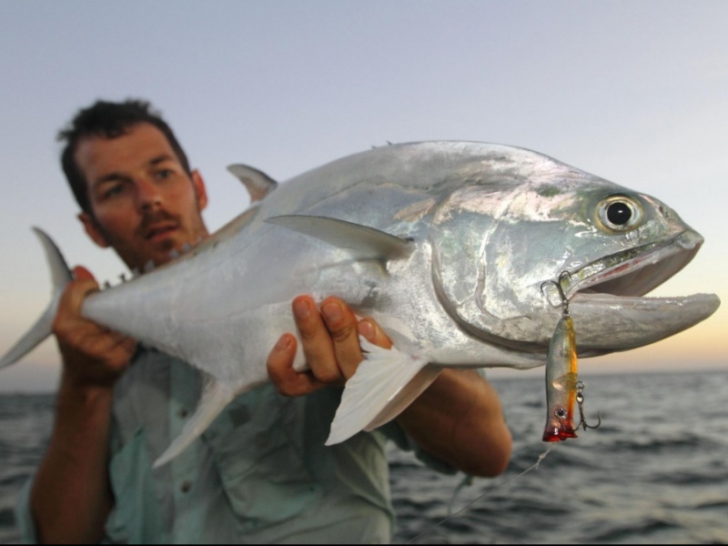 peche d'un queenfish au rosta pooper 