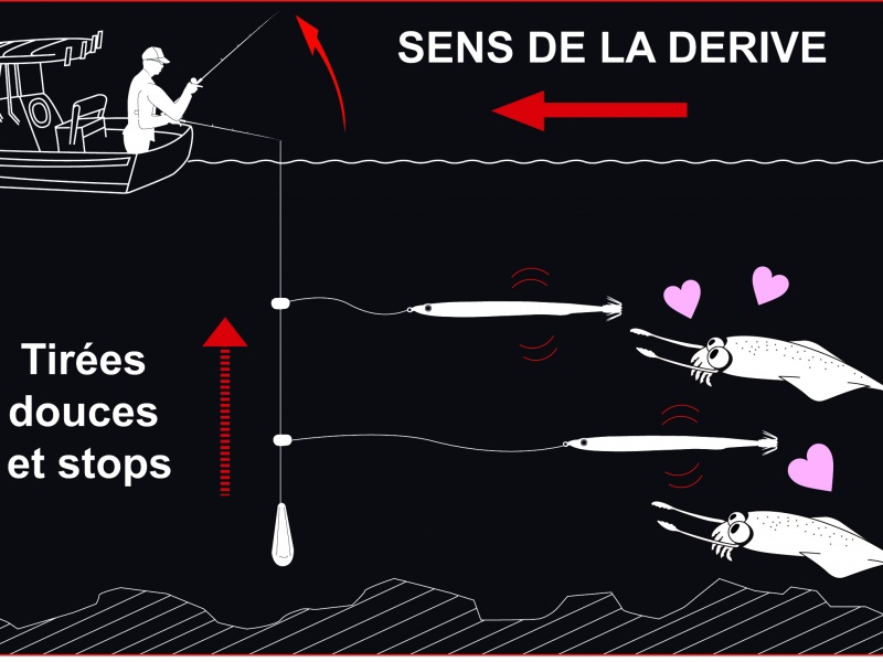 Animation de ces turluttes derniere generation Animation de ces turluttes derniere generation