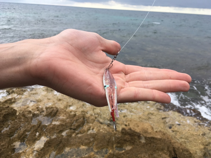 Prise en main du Mini Squid Pro, une face aux couleurs naturelles