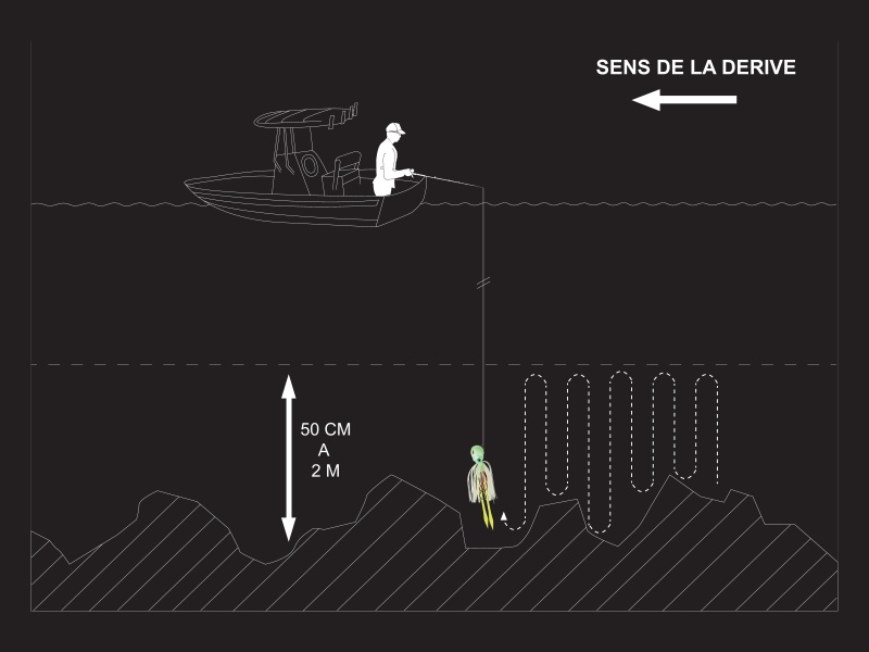 Infographie sur la technique de la pêche au madaï