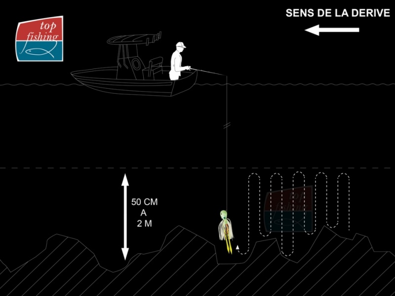 infographie madai 