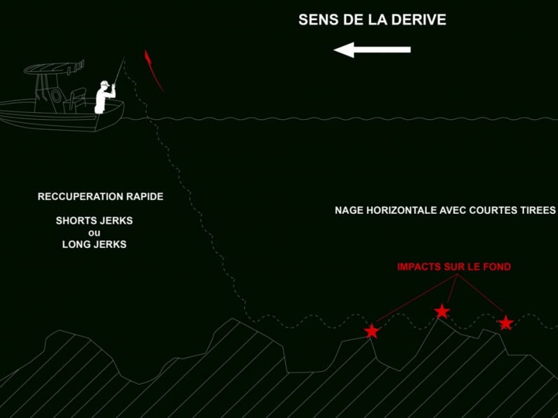 infographie nage inchiku infographie nage inchiku