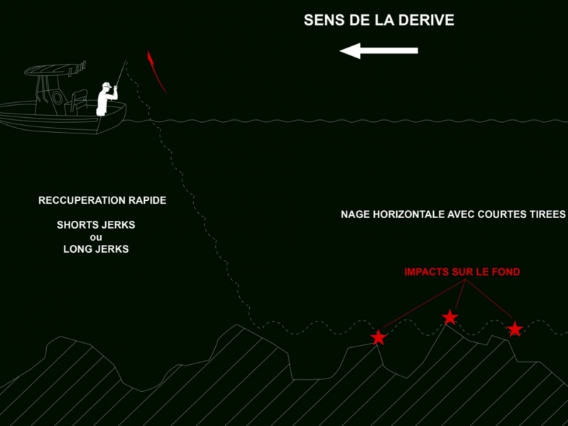 infographie nage inchiku