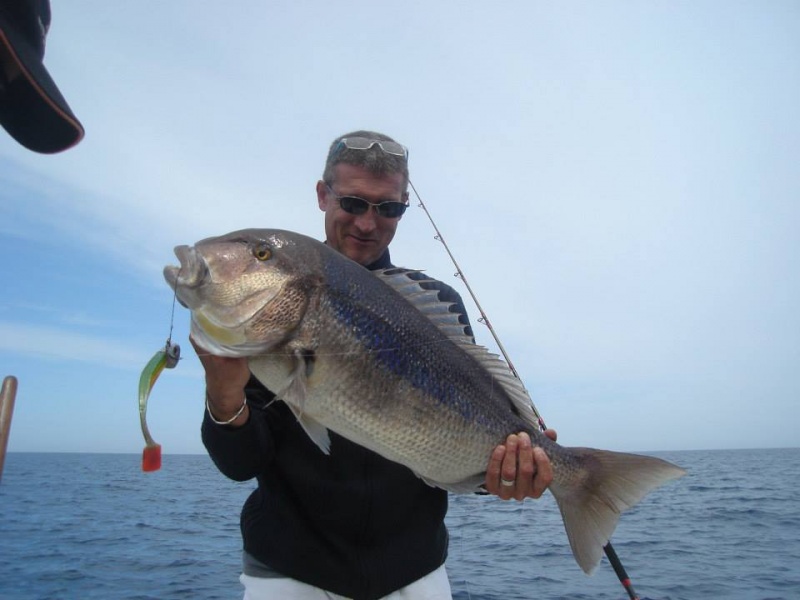 Jean-Louis en 2013, avec un superbe denti au Shad Jean-Louis en 2013, avec un superbe denti au Shad