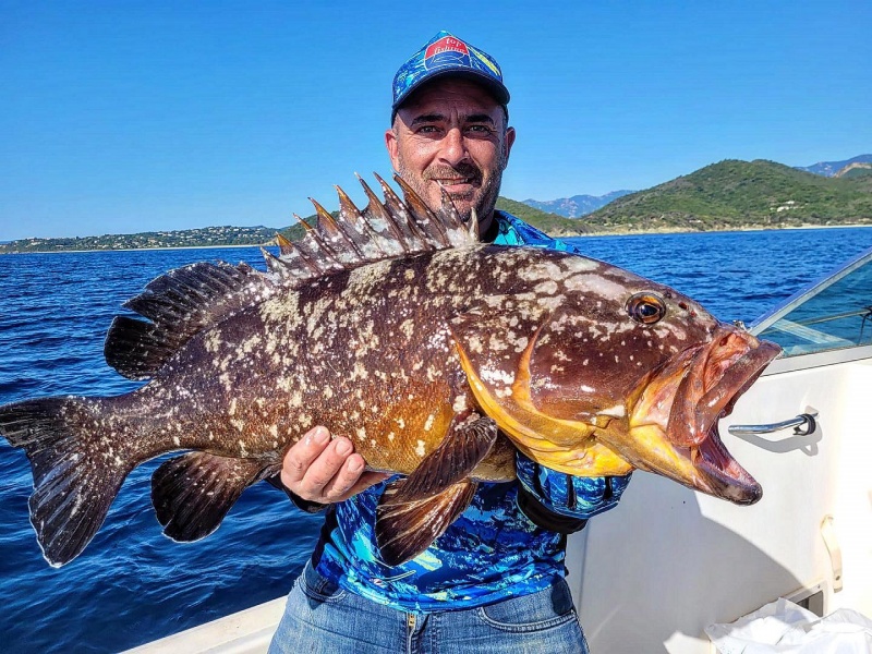 Magnifique mérou Corse, on le sait à son accent. Bravo @jeromecarlierfishing 