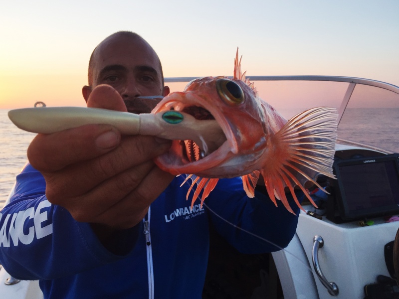 Jérôme Carlier, membre de la Team avec un joli sébaste pêché au Chacoger