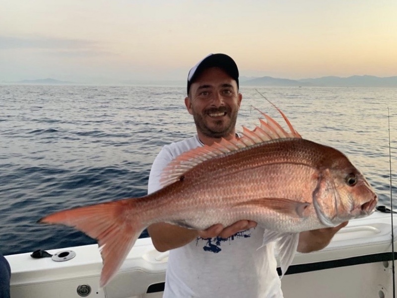 un magnifique poisson made in Maroc.