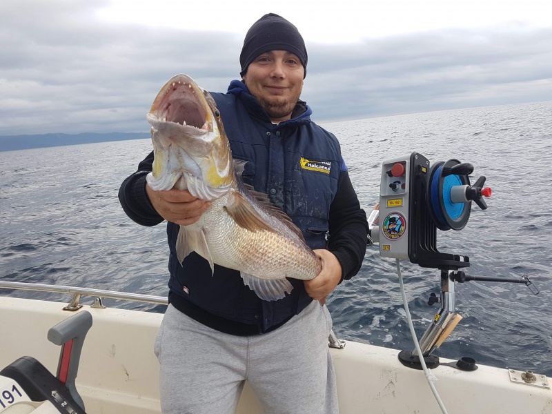 Pascal Trogi, pêche au downrigger en Corse, superbe denti avec l'Italcanna Jig Killer Pascal Trogi, pêche au downrigger en Corse, superbe denti avec l'Italcanna Jig Killer