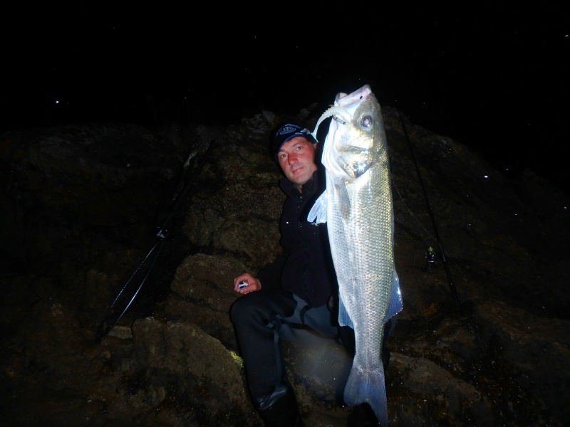 Le shad pulse blanc est une valeur sûre, la nuit !