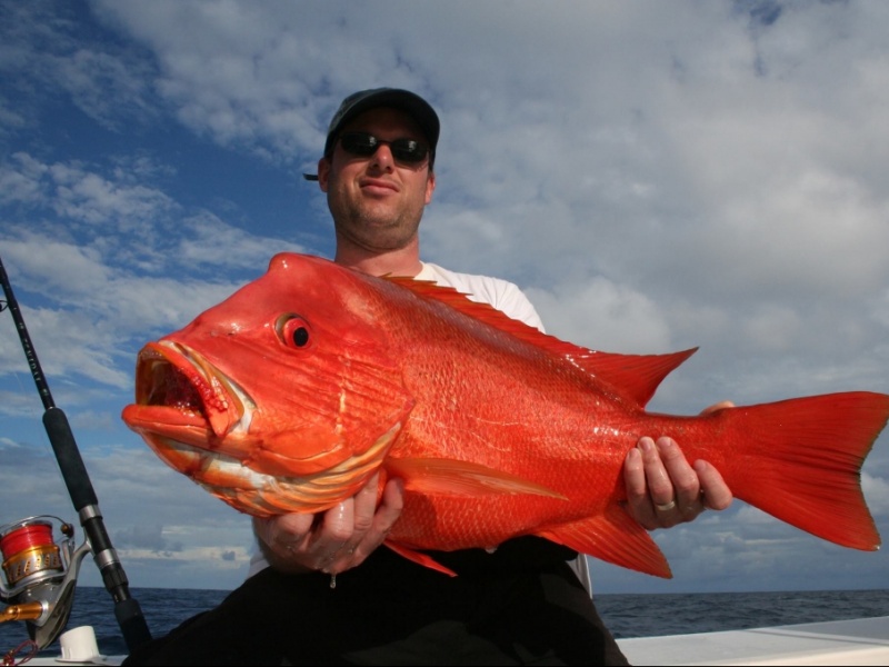 leurre heru wahoo en peche exotique avec