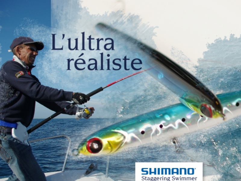 leurre shimano ocea staggering swimmer en action