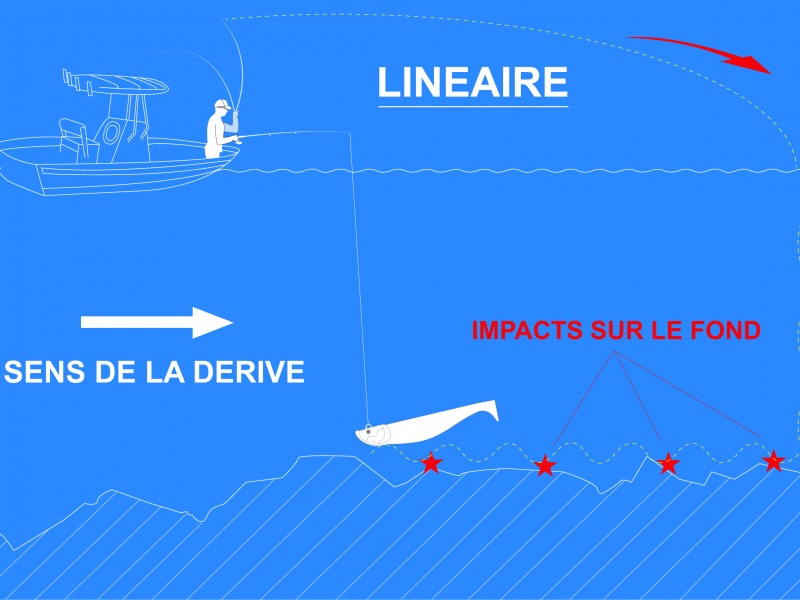 Schéma pêche au shad en linéaire