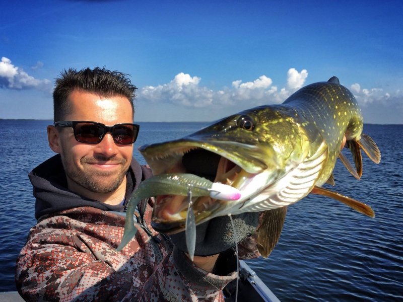 Un slit shad #046 et TP Spinhead 21gr Sakura, un duo simple mais d'une redoutable efficacité pour provoquer des touches à réaction Un slit shad #046 et TP Spinhead 21gr Sakura, un duo simple mais d'une redoutable efficacité pour provoquer des touches à réaction