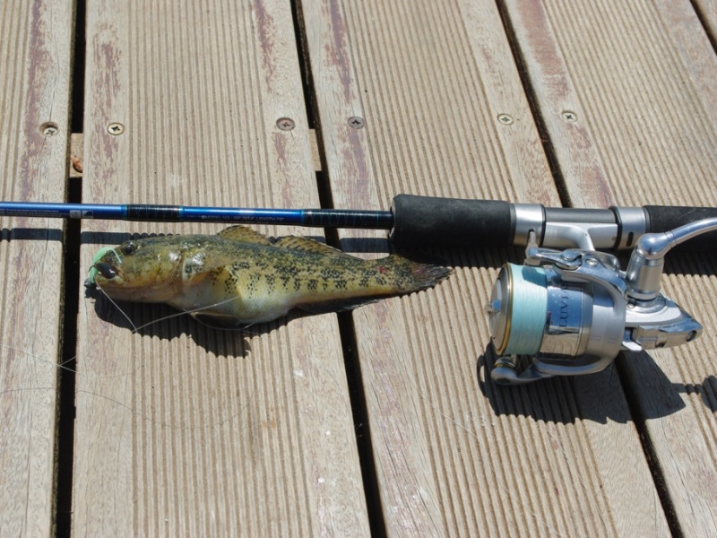 Equipement pour le rockfishing ! Equipement pour le rockfishing !