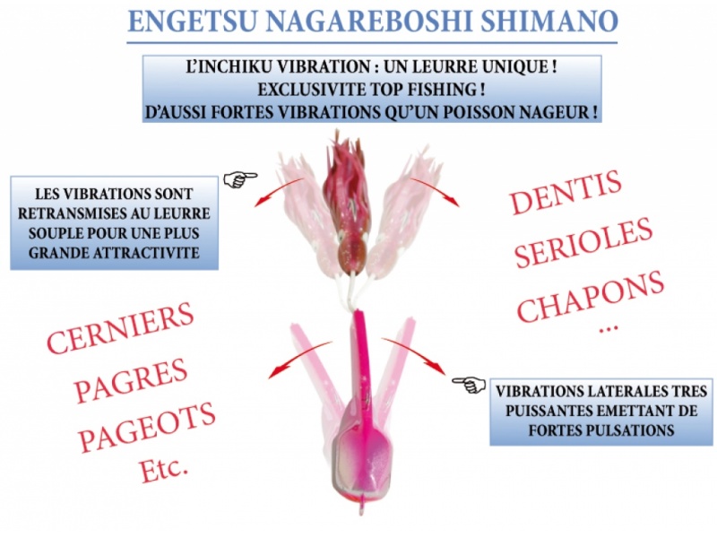 nage de l'engestsu nagareboshi nage de l'engestsu nagareboshi