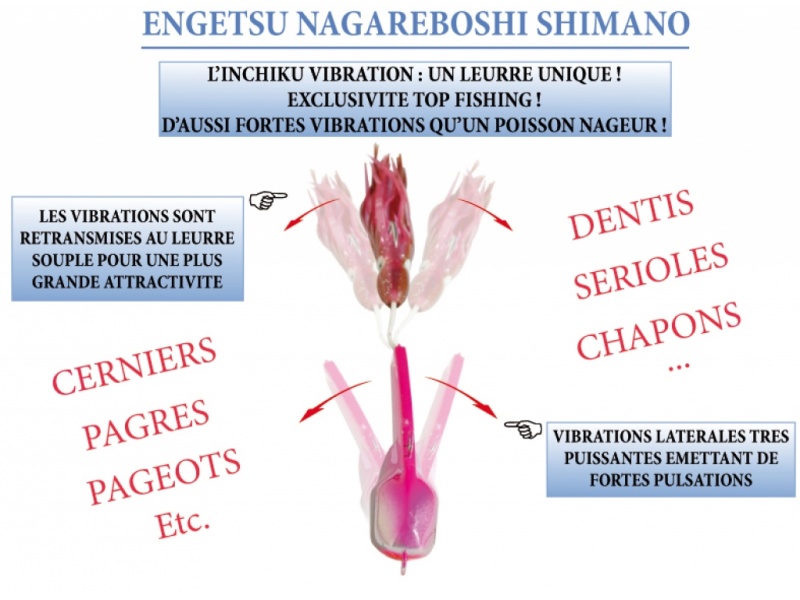 nage de l'engestsu nagareboshi