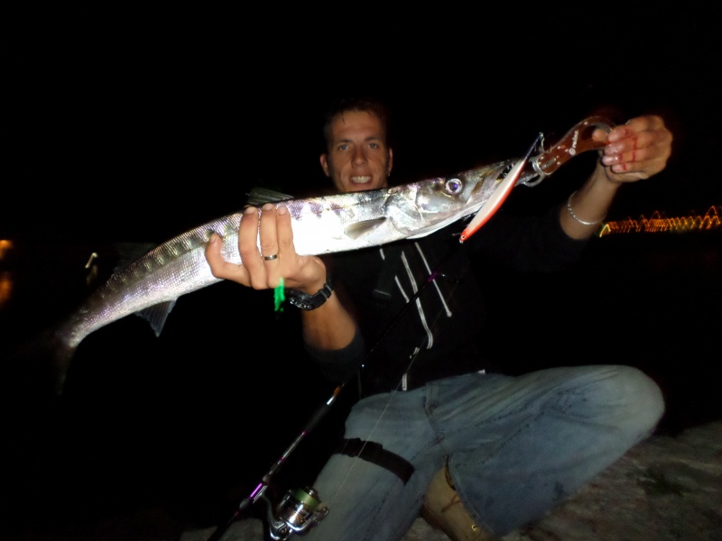Le barracuda possède des dents hyper tranchantes nécessitant un fish grip pour le manipuler. Le barracuda possède des dents hyper tranchantes nécessitant un fish grip pour le manipuler.