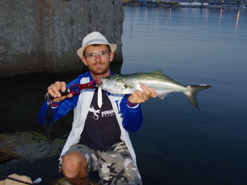 Avec un poisson aux dents aussi acérées tel que le tassergal, un fish grip est indispensable ! Avec un poisson aux dents aussi acérées tel que le tassergal, un fish grip est indispensable !