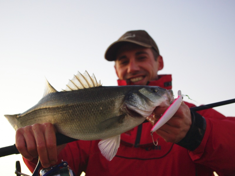 Poisson pris avec un jerkbait doté d’hameçons simples avec œillets en ligne