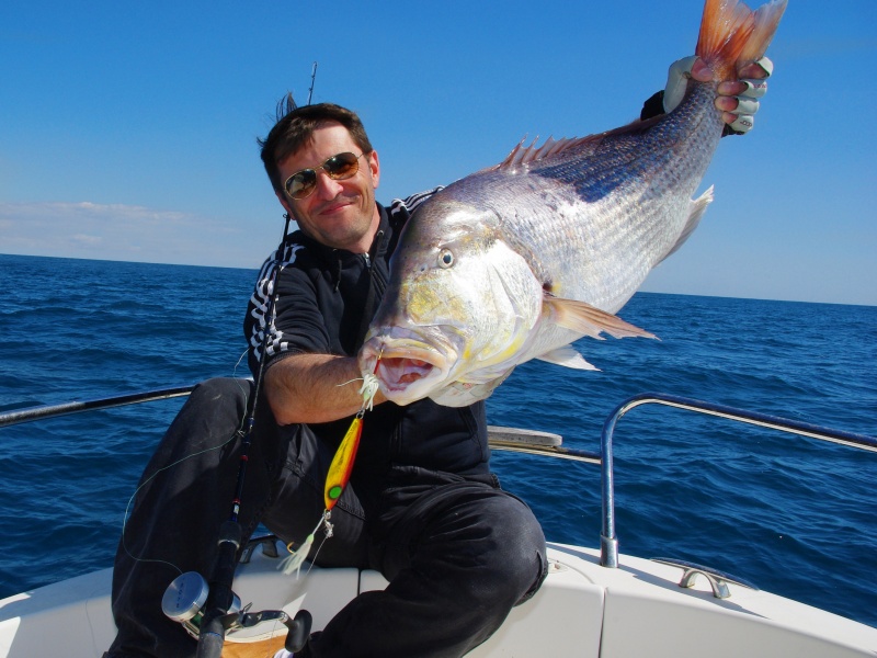 Ce denti de 10 kg pris en slow jigging est tenu à la jonction entre les opercules et la mâchoire inférieure ainsi que par la queue pour une tenue parfaite !