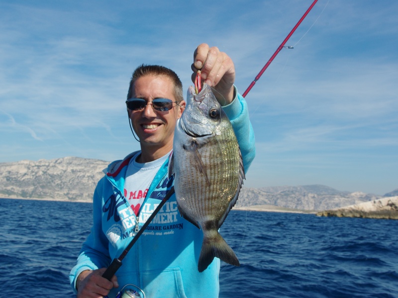 Pour un poisson de petite taille (ici un sar de 800 g), tenir le leurre pour la photo évite de trop le toucher Pour un poisson de petite taille (ici un sar de 800 g), tenir le leurre pour la photo évite de trop le toucher